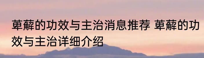 萆薢的功效与主治消息推荐 萆薢的功效与主治详细介绍
