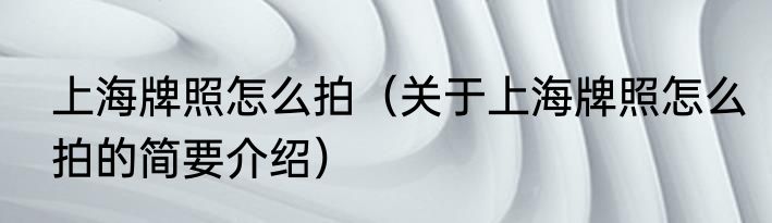 上海牌照怎么拍（关于上海牌照怎么拍的简要介绍）