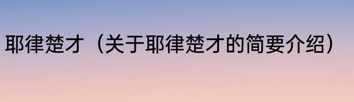 耶律楚才（关于耶律楚才的简要介绍）
