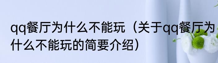 qq餐厅为什么不能玩（关于qq餐厅为什么不能玩的简要介绍）