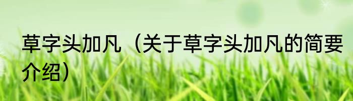 草字头加凡（关于草字头加凡的简要介绍）