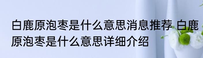 白鹿原泡枣是什么意思消息推荐 白鹿原泡枣是什么意思详细介绍