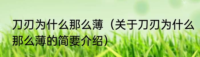 刀刃为什么那么薄（关于刀刃为什么那么薄的简要介绍）