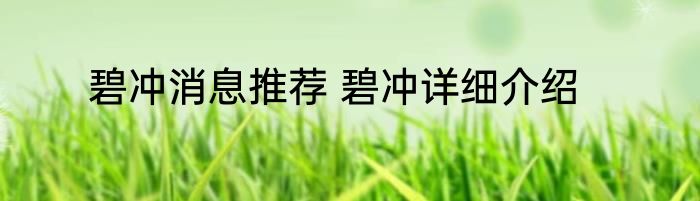 碧冲消息推荐 碧冲详细介绍