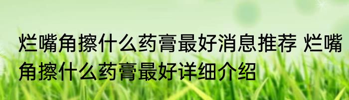 烂嘴角擦什么药膏最好消息推荐 烂嘴角擦什么药膏最好详细介绍