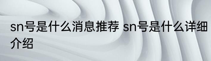 sn号是什么消息推荐 sn号是什么详细介绍