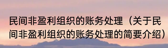 民间非盈利组织的账务处理（关于民间非盈利组织的账务处理的简要介绍）