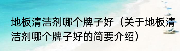 地板清洁剂哪个牌子好（关于地板清洁剂哪个牌子好的简要介绍）