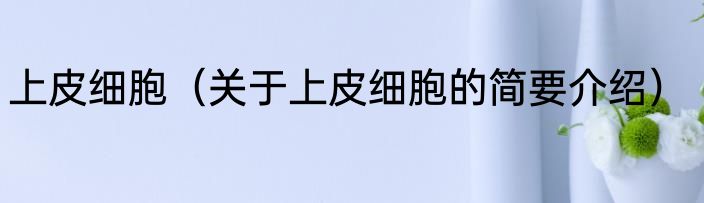 上皮细胞（关于上皮细胞的简要介绍）