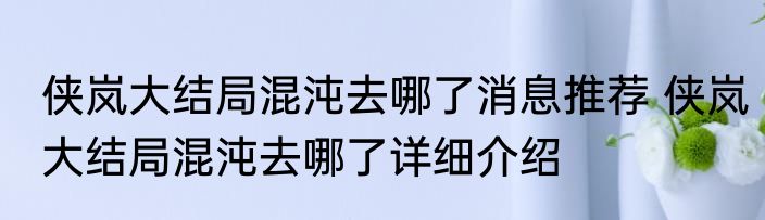 侠岚大结局混沌去哪了消息推荐 侠岚大结局混沌去哪了详细介绍