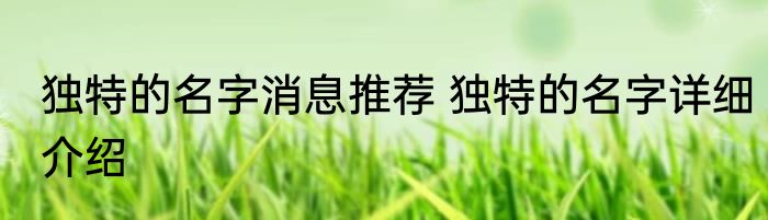独特的名字消息推荐 独特的名字详细介绍