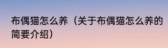 布偶猫怎么养（关于布偶猫怎么养的简要介绍）
