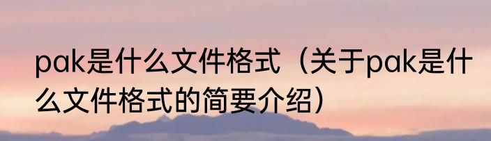 pak是什么文件格式（关于pak是什么文件格式的简要介绍）