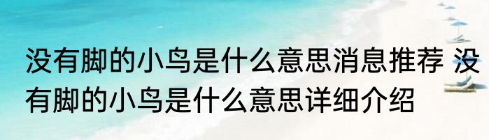 没有脚的小鸟是什么意思消息推荐 没有脚的小鸟是什么意思详细介绍