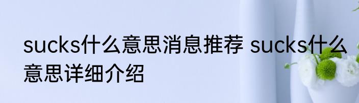 sucks什么意思消息推荐 sucks什么意思详细介绍
