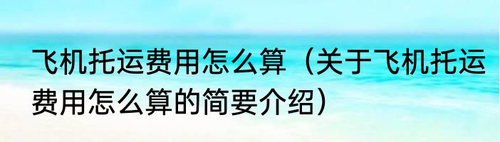 飞机托运费用怎么算（关于飞机托运费用怎么算的简要介绍）
