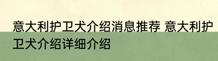 意大利护卫犬介绍消息推荐 意大利护卫犬介绍详细介绍
