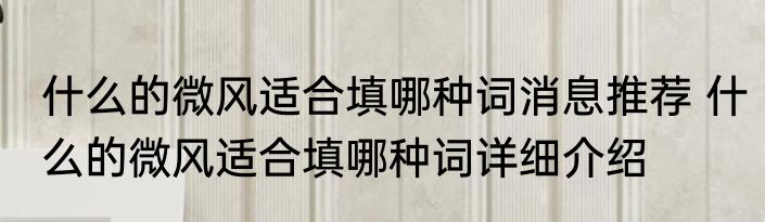 什么的微风适合填哪种词消息推荐 什么的微风适合填哪种词详细介绍