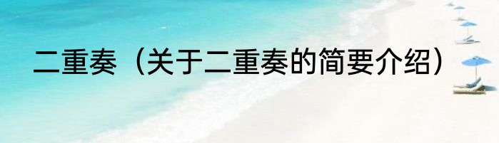 二重奏（关于二重奏的简要介绍）