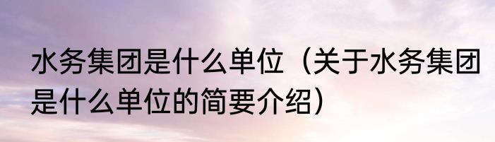 水务集团是什么单位（关于水务集团是什么单位的简要介绍）