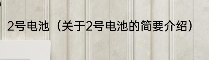 2号电池（关于2号电池的简要介绍）