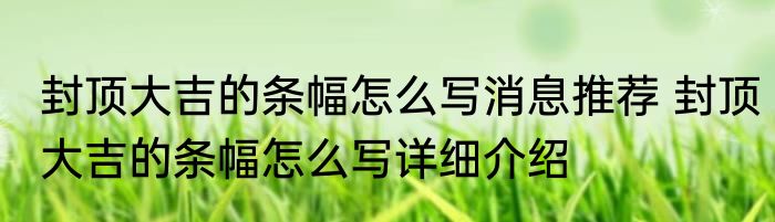 lol好听的名字求跪（关于lol好听的名字求跪的简要介绍）