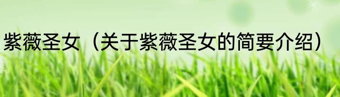 紫薇圣女（关于紫薇圣女的简要介绍）