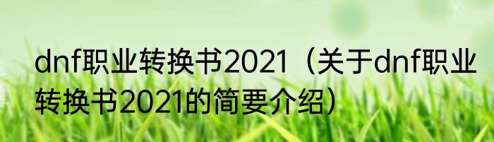 dnf职业转换书2021（关于dnf职业转换书2021的简要介绍）