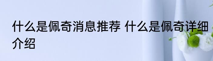 什么是佩奇消息推荐 什么是佩奇详细介绍