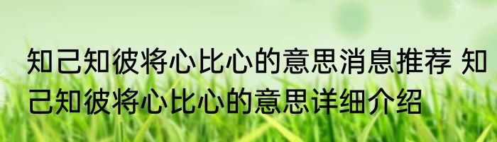 知己知彼将心比心的意思消息推荐 知己知彼将心比心的意思详细介绍