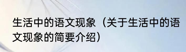 生活中的语文现象（关于生活中的语文现象的简要介绍）