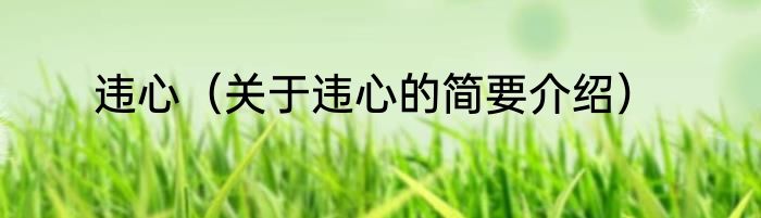 违心（关于违心的简要介绍）