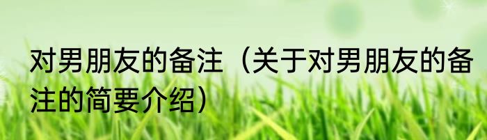对男朋友的备注（关于对男朋友的备注的简要介绍）