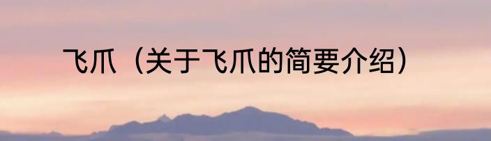 飞爪（关于飞爪的简要介绍）