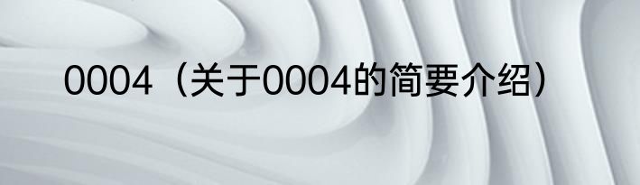 0004（关于0004的简要介绍）