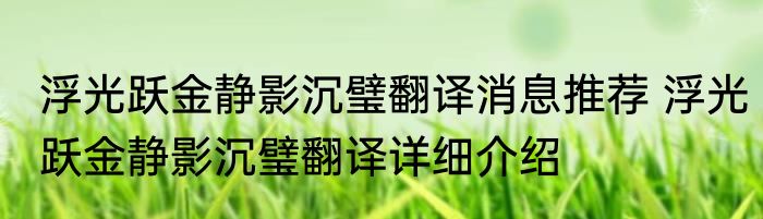 浮光跃金静影沉璧翻译消息推荐 浮光跃金静影沉璧翻译详细介绍