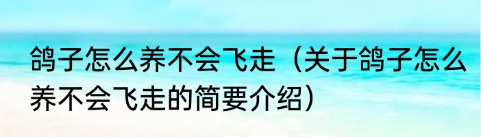 鸽子怎么养不会飞走（关于鸽子怎么养不会飞走的简要介绍）