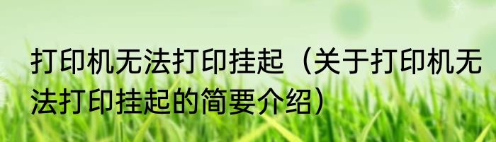 打印机无法打印挂起（关于打印机无法打印挂起的简要介绍）