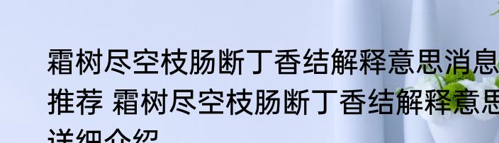 霜树尽空枝肠断丁香结解释意思消息推荐 霜树尽空枝肠断丁香结解释意思详细介绍