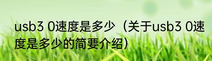 usb3 0速度是多少（关于usb3 0速度是多少的简要介绍）