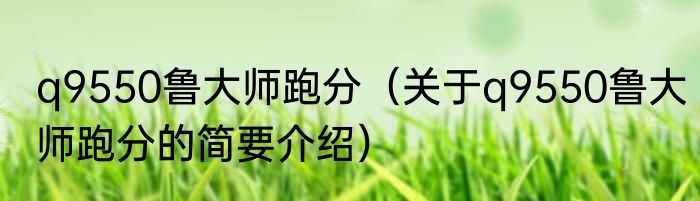 q9550鲁大师跑分（关于q9550鲁大师跑分的简要介绍）