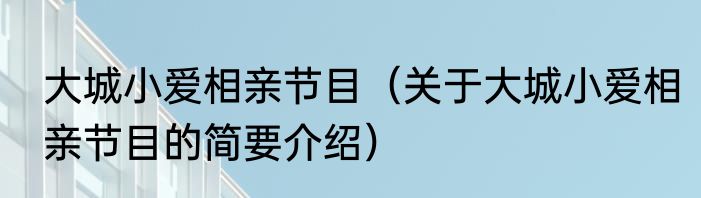 大城小爱相亲节目（关于大城小爱相亲节目的简要介绍）