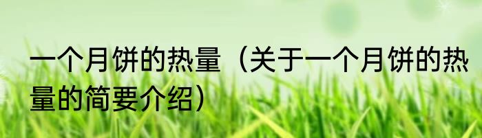 一个月饼的热量（关于一个月饼的热量的简要介绍）