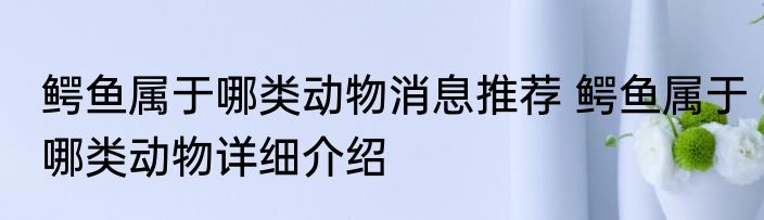 鳄鱼属于哪类动物消息推荐 鳄鱼属于哪类动物详细介绍