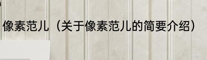 像素范儿（关于像素范儿的简要介绍）