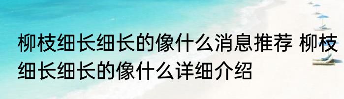 柳枝细长细长的像什么消息推荐 柳枝细长细长的像什么详细介绍