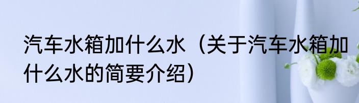 汽车水箱加什么水（关于汽车水箱加什么水的简要介绍）