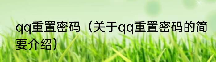 qq重置密码(关于qq重置密码的简要介绍)