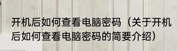 开机后如何查看电脑密码（关于开机后如何查看电脑密码的简要介绍）