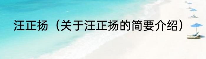 汪正扬（关于汪正扬的简要介绍）